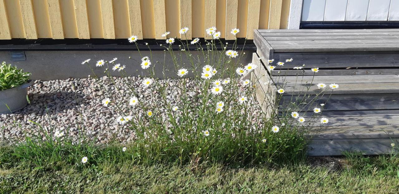 Bjoerkaengs Vandrarhem Tvååker Esterno foto